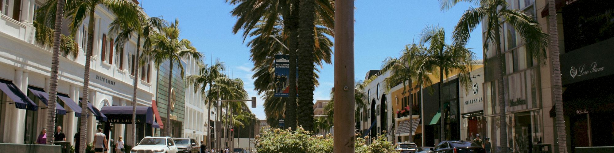 A sunny street lined with palm trees, stylish shops, and a vibrant flower bed in the median, creating a chic, tropical shopping district vibe.