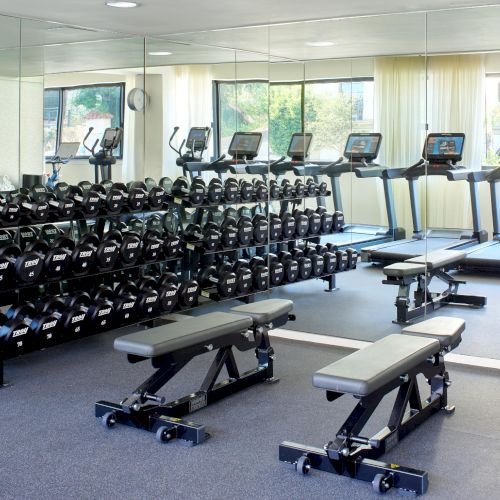 A clean gym with free weights, kettlebells, and several treadmills and benches, mirrored walls, and bright natural light for workouts.