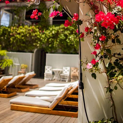 A sunny poolside patio with wooden lounge chairs and blooming pink flowers climbing a white wall, perfect for a relaxing day by the water, ending here.