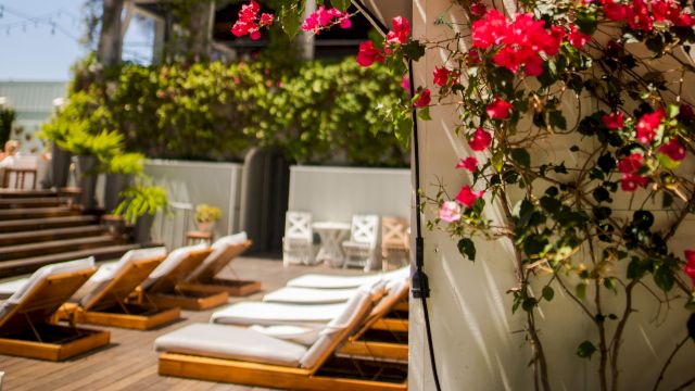A sunny poolside patio with wooden lounge chairs and blooming pink flowers climbing a white wall, perfect for a relaxing day by the water, ending here.
