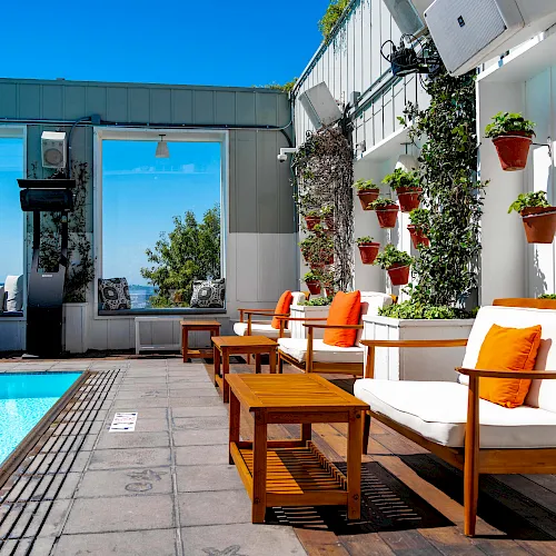 A sunny rooftop patio with a pool, white lounge chairs with orange pillows, and many potted plants hanging along the wall.