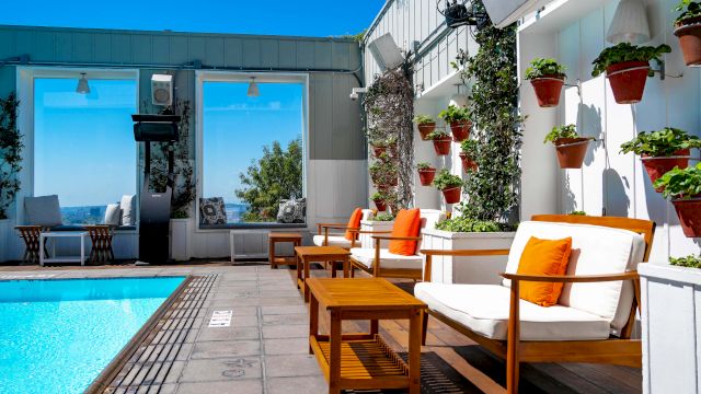 A sunny rooftop patio with a pool, white lounge chairs with orange pillows, and many potted plants hanging along the wall.