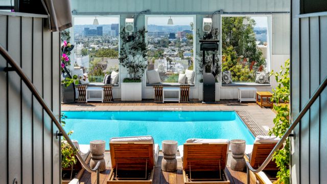 An urban rooftop patio with a bright blue pool, lounge chairs, potted plants, and a city skyline view beyond tall windows.