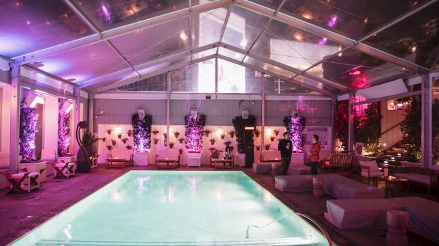 An indoor pool event under a glass roof, glowing purple lights, potted plants, and a couple standing nearby.